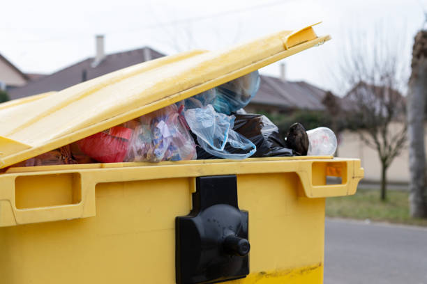 Best Donation Pickup Services  in Davidson, NC